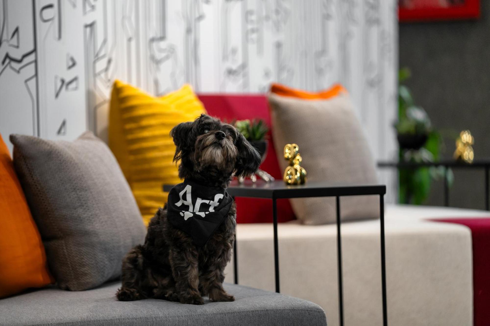 Aloft New York Chelsea Hotell Eksteriør bilde